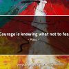 Courage is knowing what not to fear PlatoQuotes