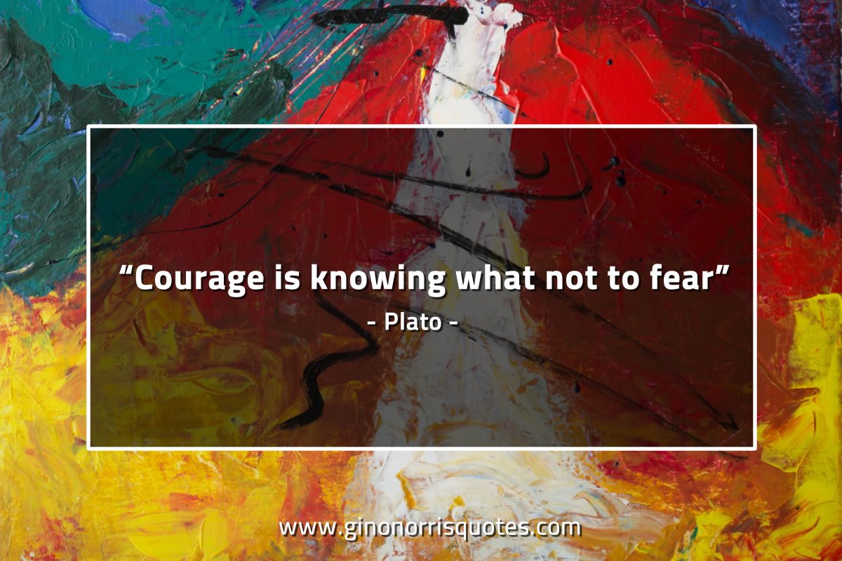 Courage is knowing what not to fear PlatoQuotes