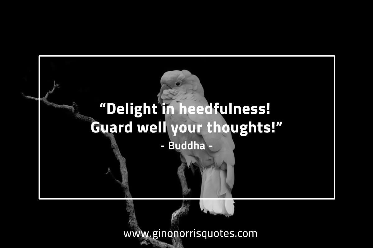 Delight in heedfulness BuddhaQuotes