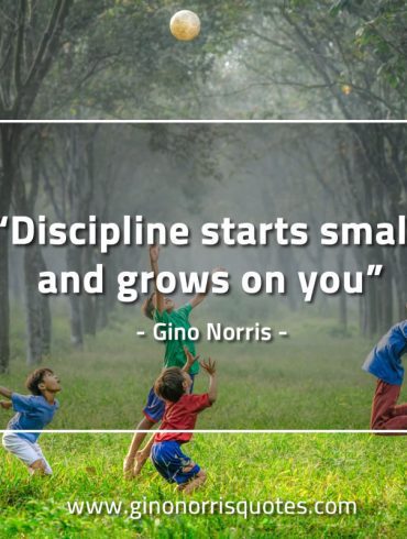 Discipline starts small and grows on you GinoNorrisQuotes