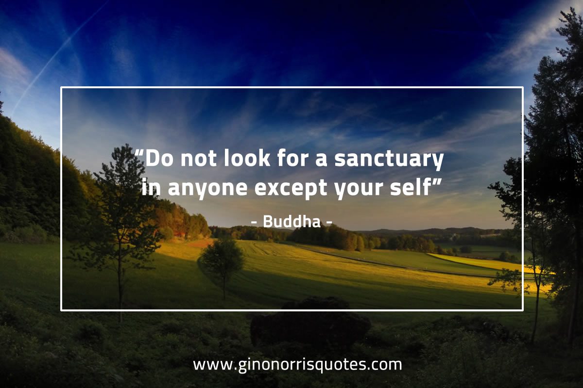 Do not look for a sanctuary BuddhaQuotes