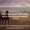 Dont live by your own rules EpictetusQuotes