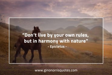 Dont live by your own rules EpictetusQuotes