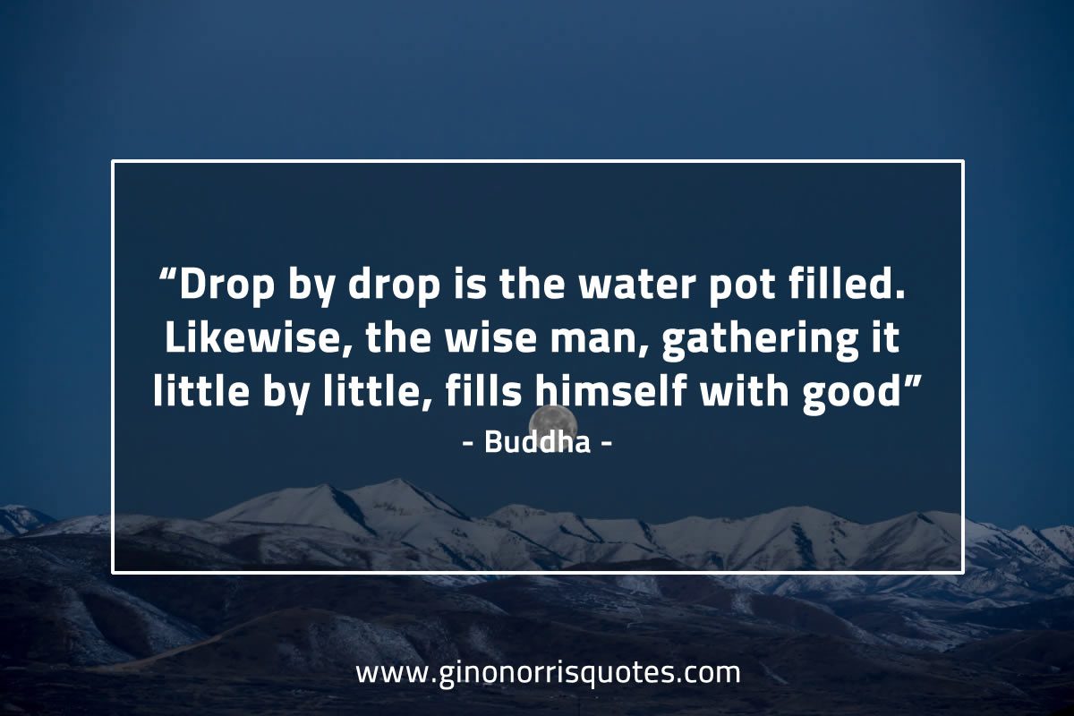 Drop by drop BuddhaQuotes