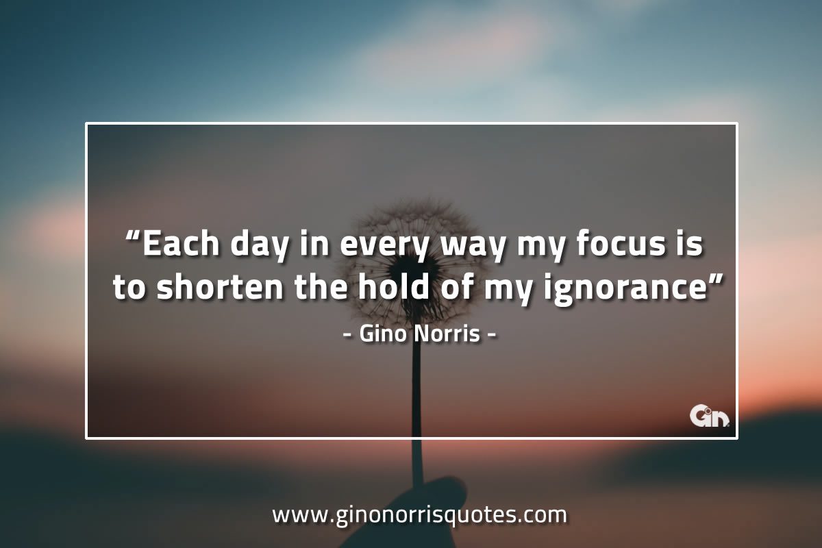 Each day in every way my focus is GinoNorrisQuotes