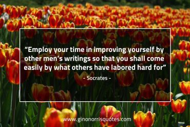 Employ your time in improving yourself SocratesQuotes