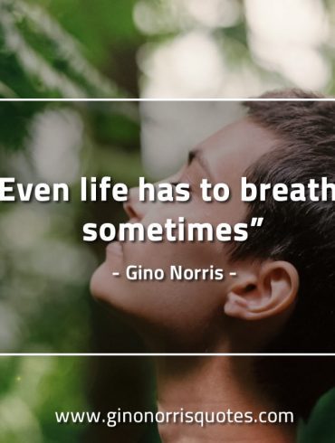 Even life has to breathe sometimes GinoNorrisQuotes