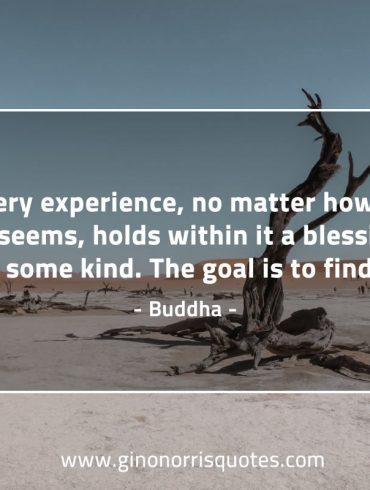 Every experience BuddhaQuotes