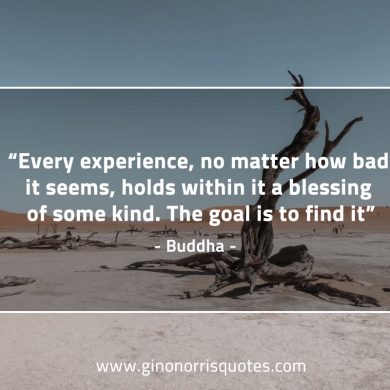 Every experience BuddhaQuotes