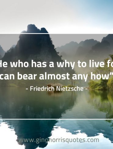 He who has a why to live for NietzscheQuote