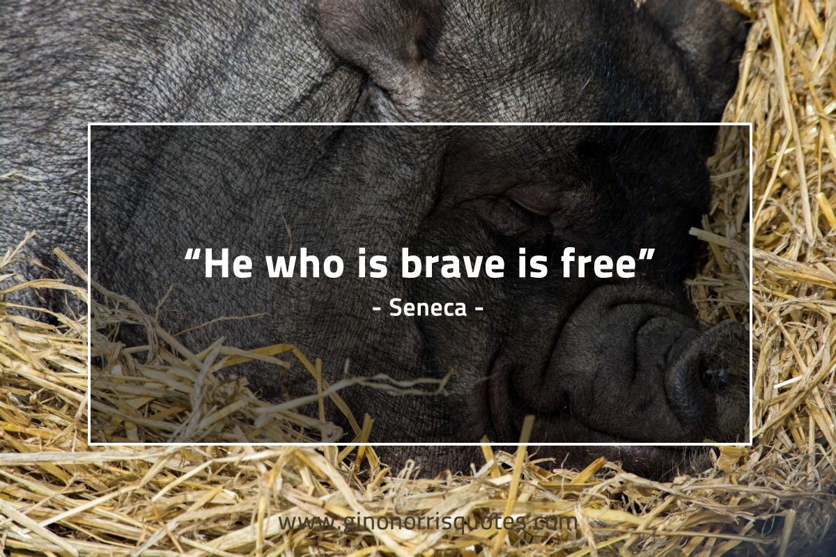 He who is brave is free SenecaQuotes