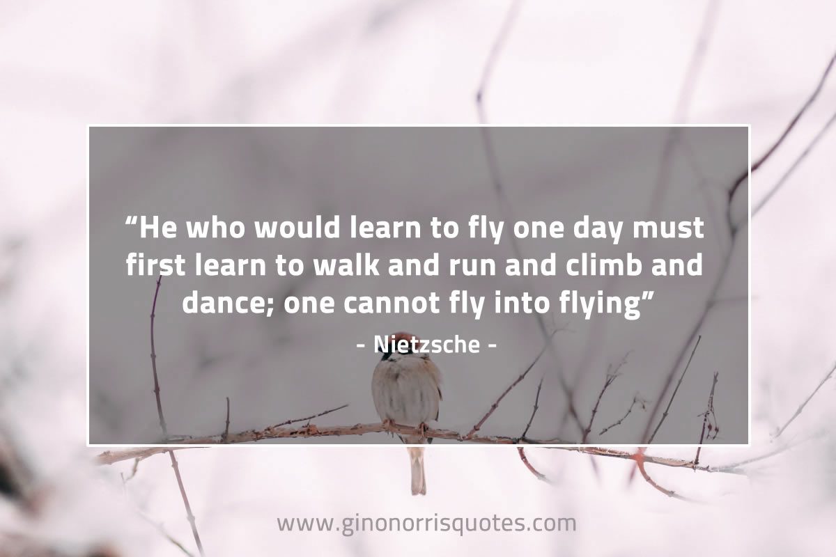 He who would learn to fly one day NietzscheQuotes