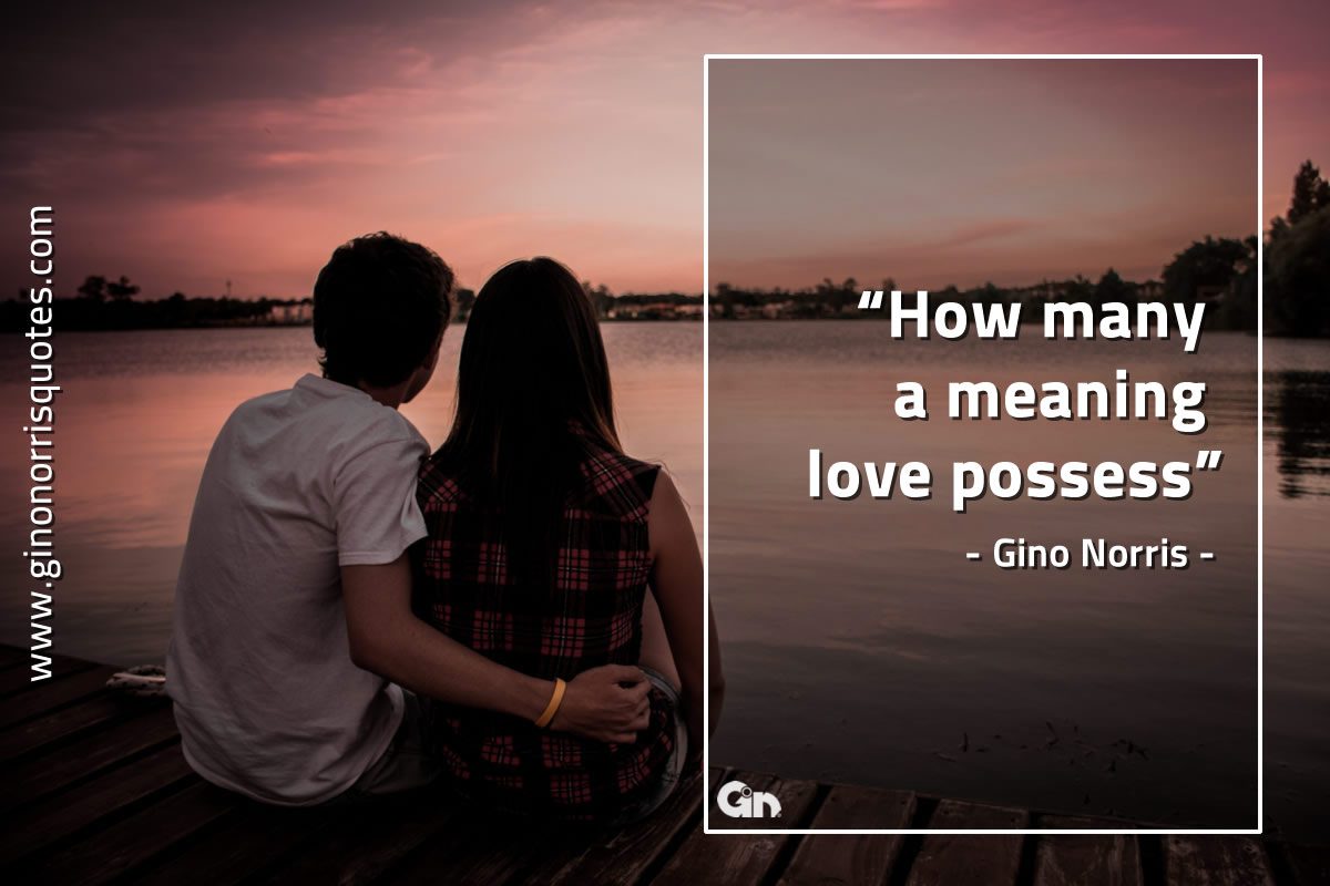 How many a meaning love possess GinoNorrisQuotes