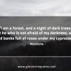 I am a forest and a night of dark trees NietzscheQuotes