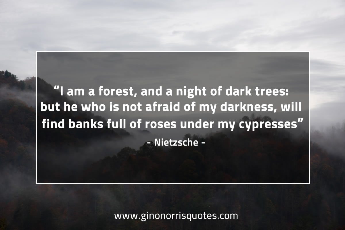 I am a forest and a night of dark trees NietzscheQuotes