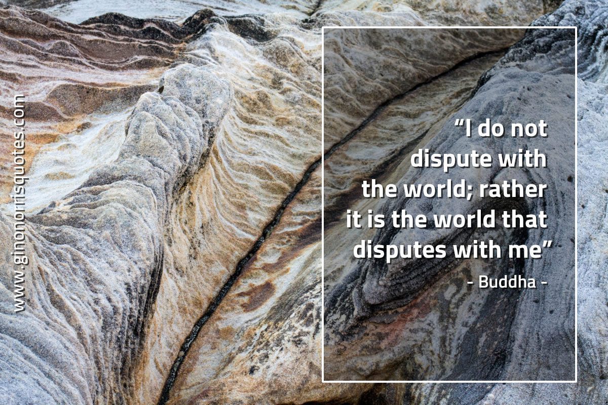 I do not dispute with the world BuddhaQuotes