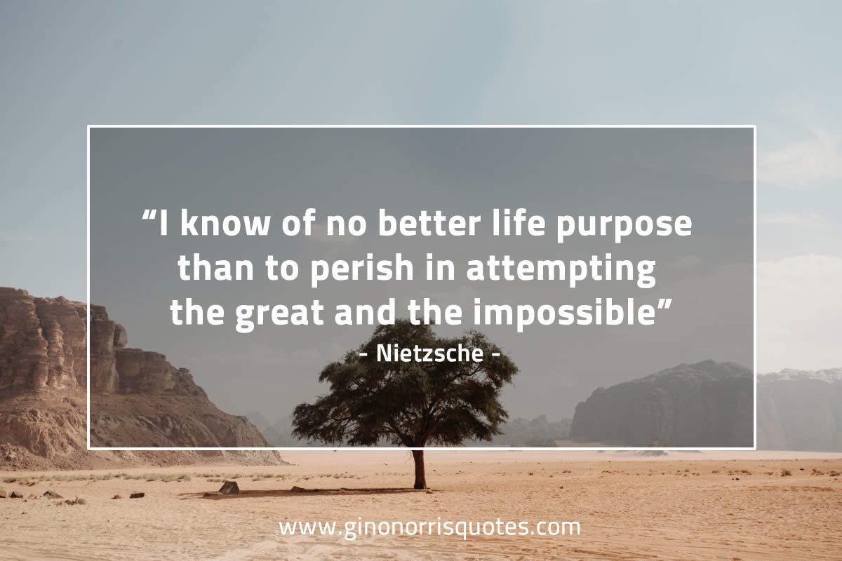 I know of no better life purpose NietzscheQuotes