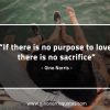 If there is no purpose to love GinoNorrisQuotes