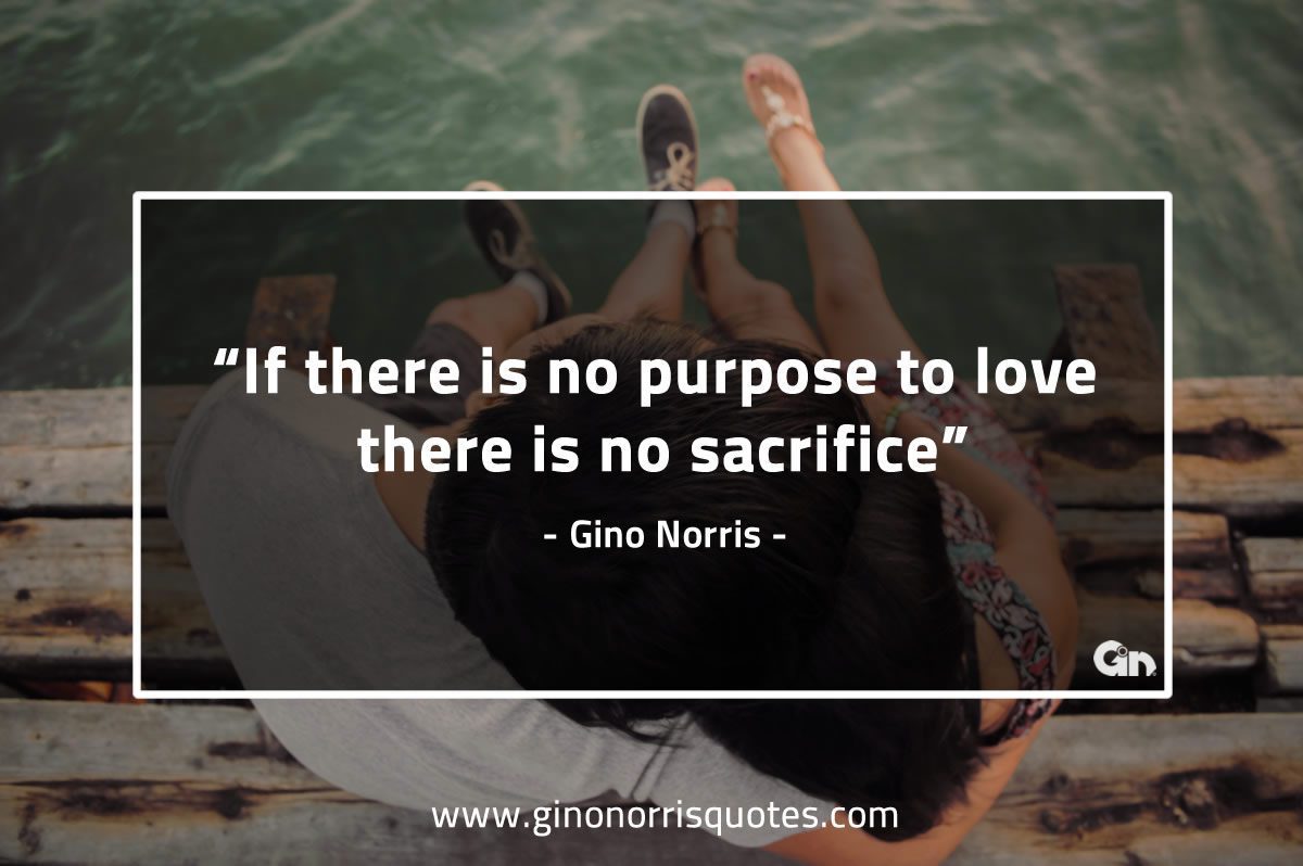 If there is no purpose to love GinoNorrisQuotes