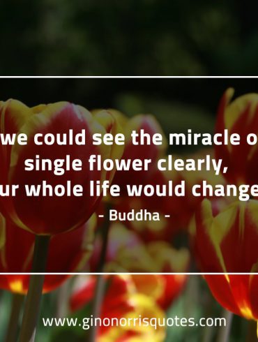 If we could see the miracle BuddhaQuotes