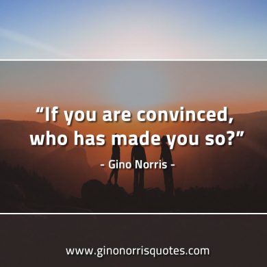 If you are convinced GinoNorrisQuotes