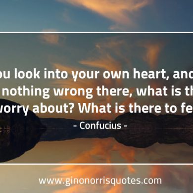 If you look into your own heart ConfuciusQuotes