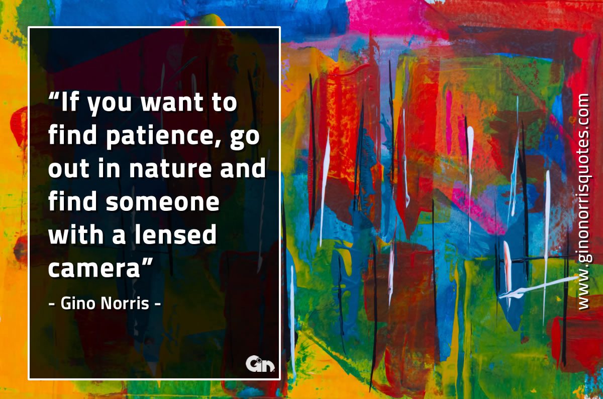 If you want to find patience GinoNorrisQuotes