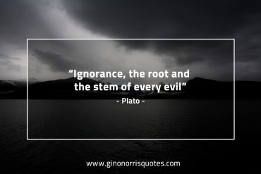Ignorance the root and the stem PlatoQuotes