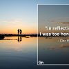 In reflection I was too honest GinoNorrisQuotes
