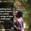 In seeking love you have to learn GinoNorrisQuotes
