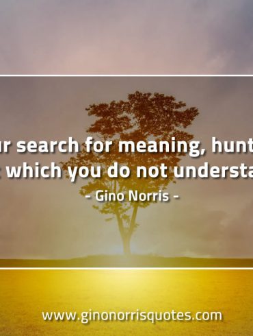 In your search for meaning GinoNorrisQuotes