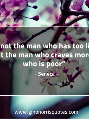 It is not the man who has too little SenecaQuotes