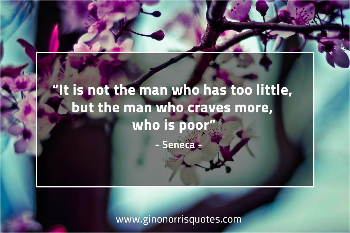 It is not the man who has too little SenecaQuotes