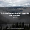 It is quality rather than quantity SenecaQuotes