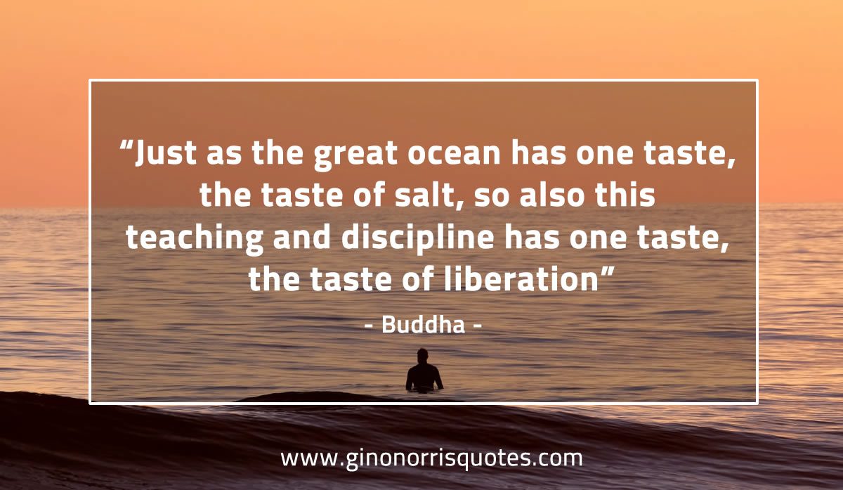 Just as the great ocean BuddhaQuotes