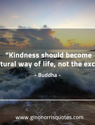 Kindness should become BuddhaQuotes