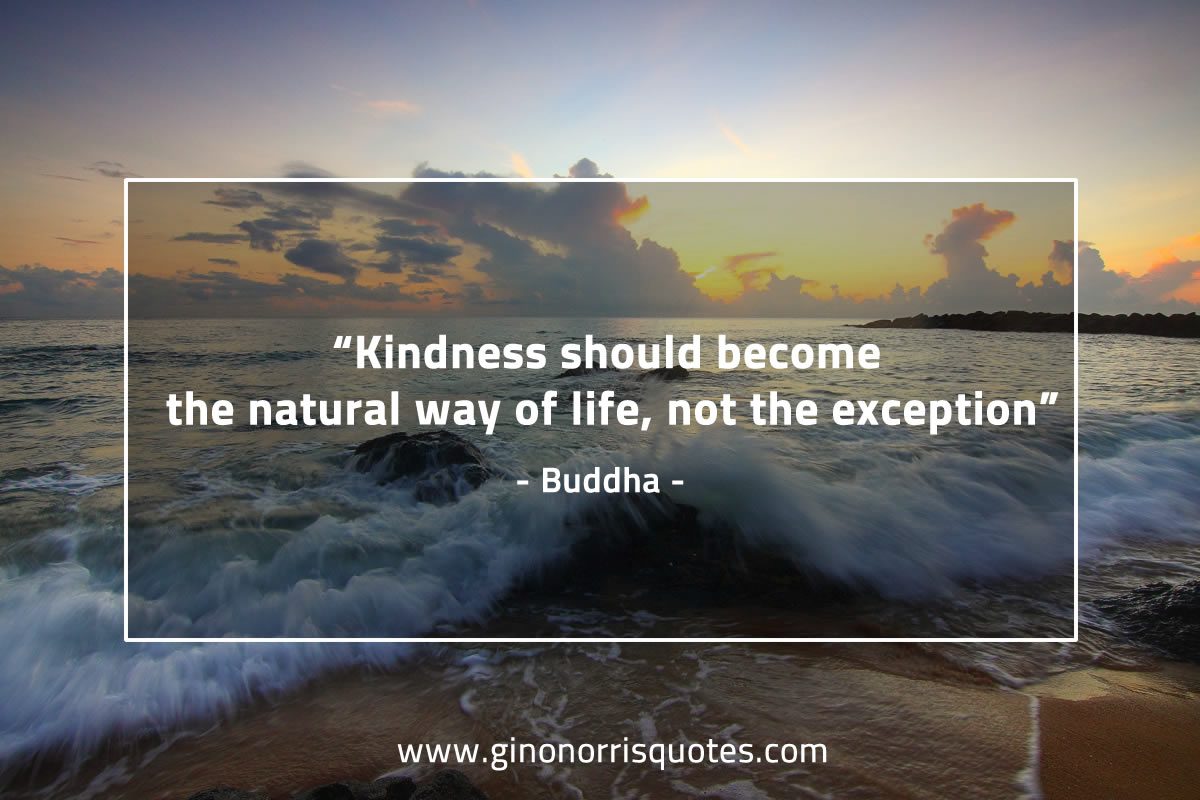Kindness should become BuddhaQuotes