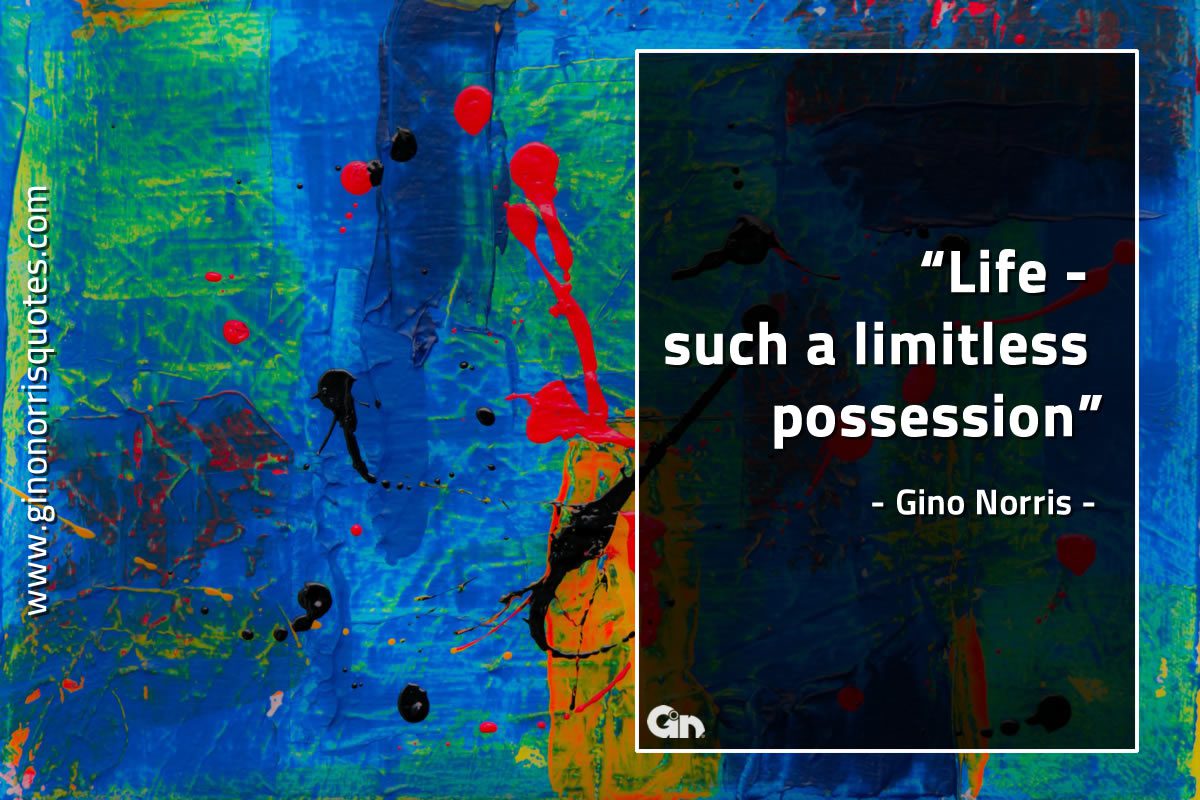 Life such a limitless possession GinoNorrisQuotes