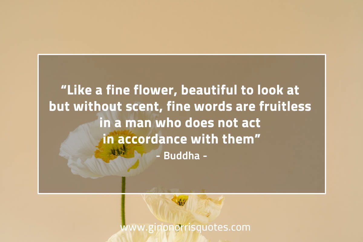 Like a fine flower BuddhaQuotes