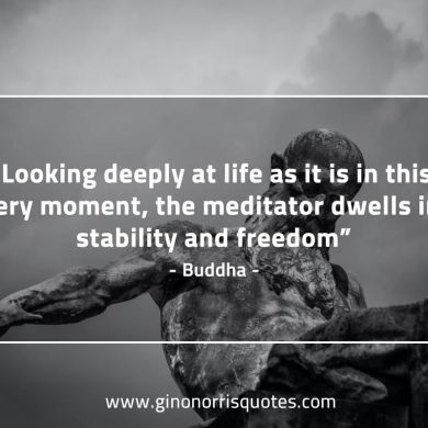 Looking deeply at life BuddhaQuotes