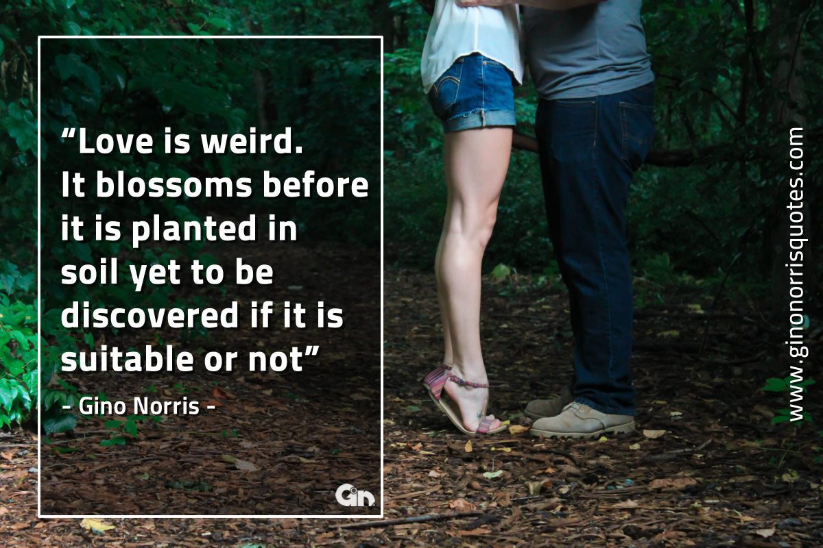 Love is weird GinoNorrisQuotes