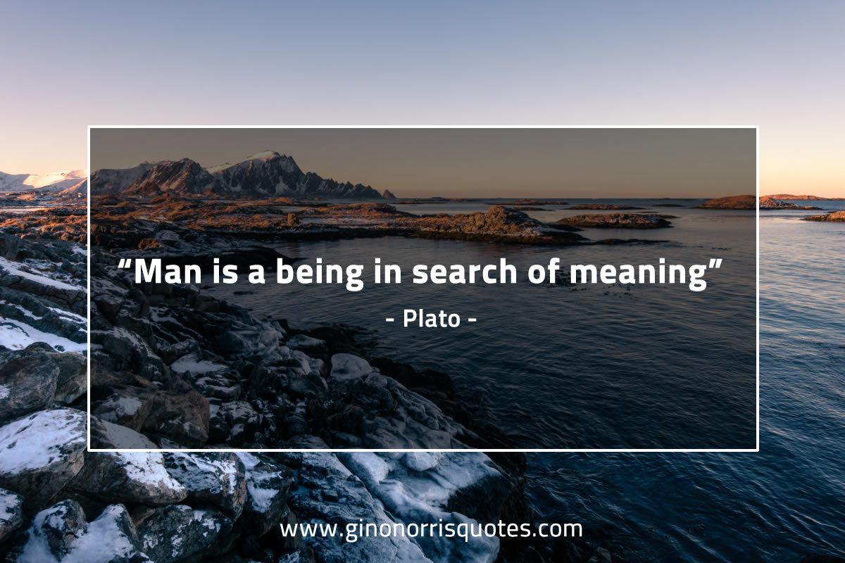Man is a being in search of meaning PlatoQuotes