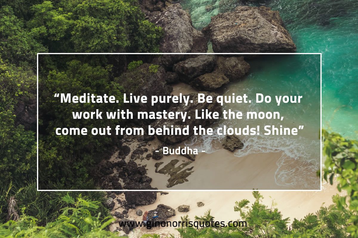 Meditate Live purely BuddhaQuotes