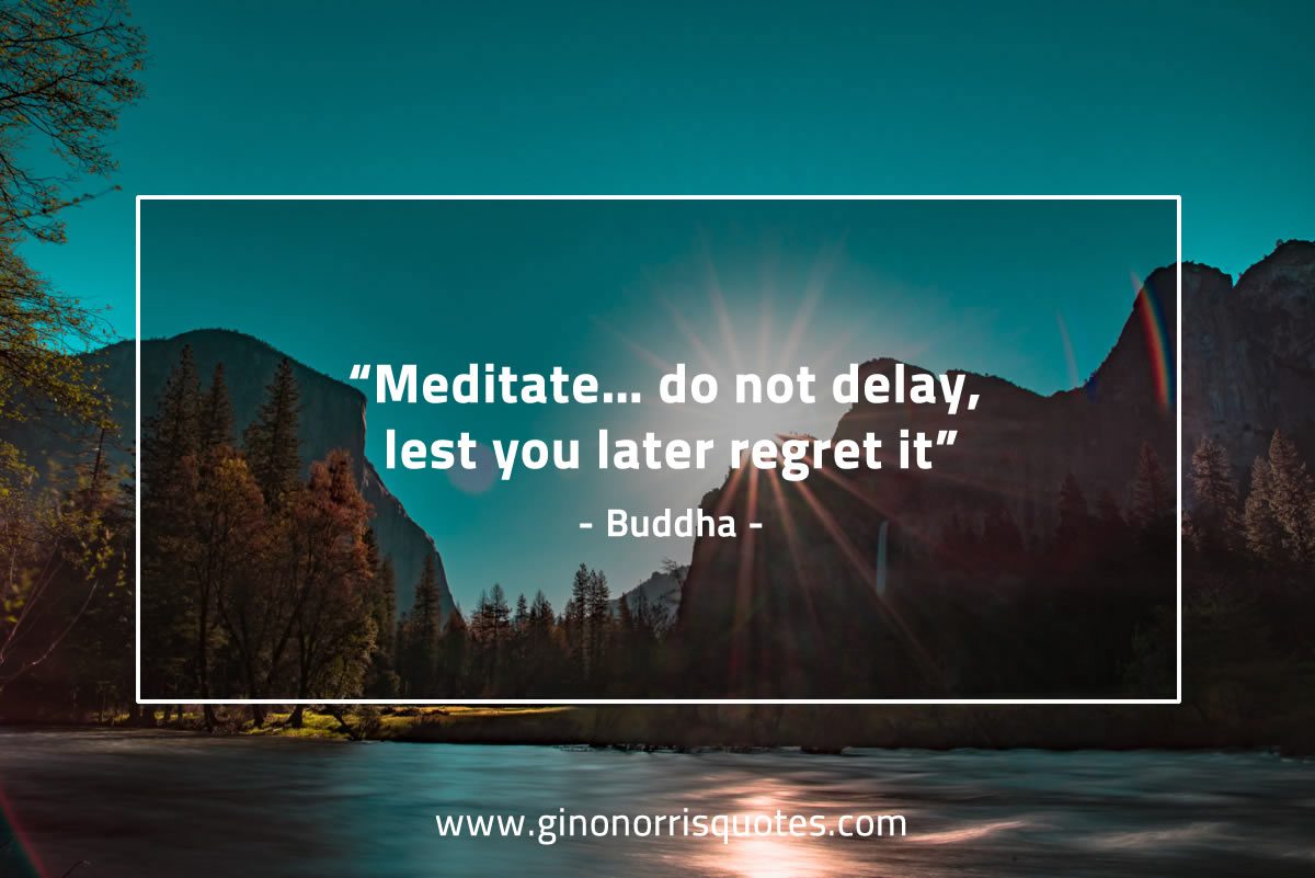 Meditate do not delay BuddhaQuotes