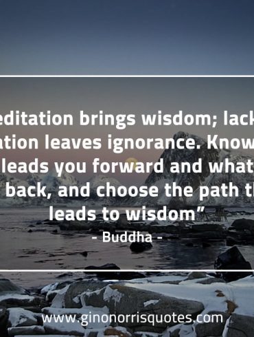 Meditation brings wisdom BuddhaQuotes