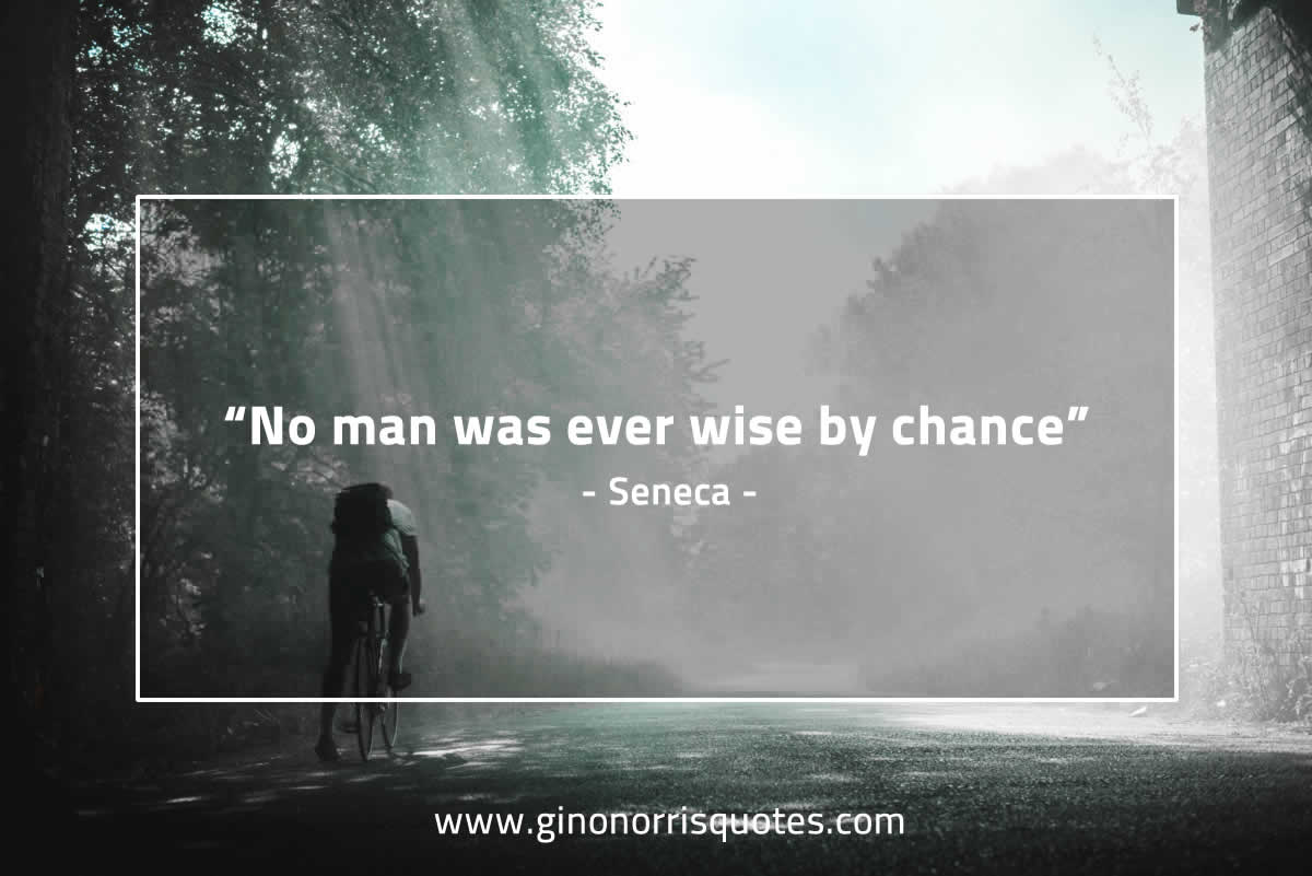 No man was ever wise by chance SenecaQuotes