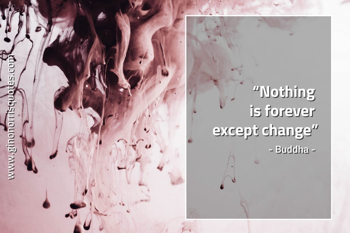 Nothing is forever except change BuddhaQuotes