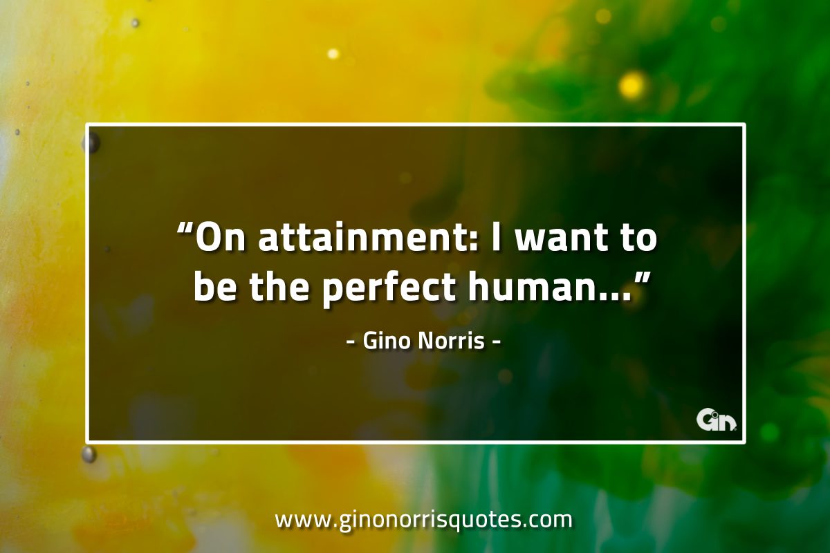 On attainment I want to be the perfect human GinoNorrisQuotes