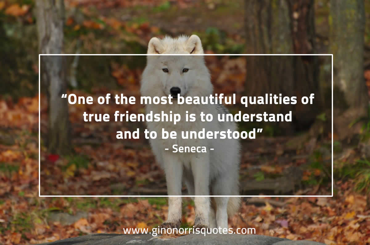One of the most beautiful qualities SenecaQuotes