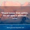 Peace comes from within BuddhaQuotes